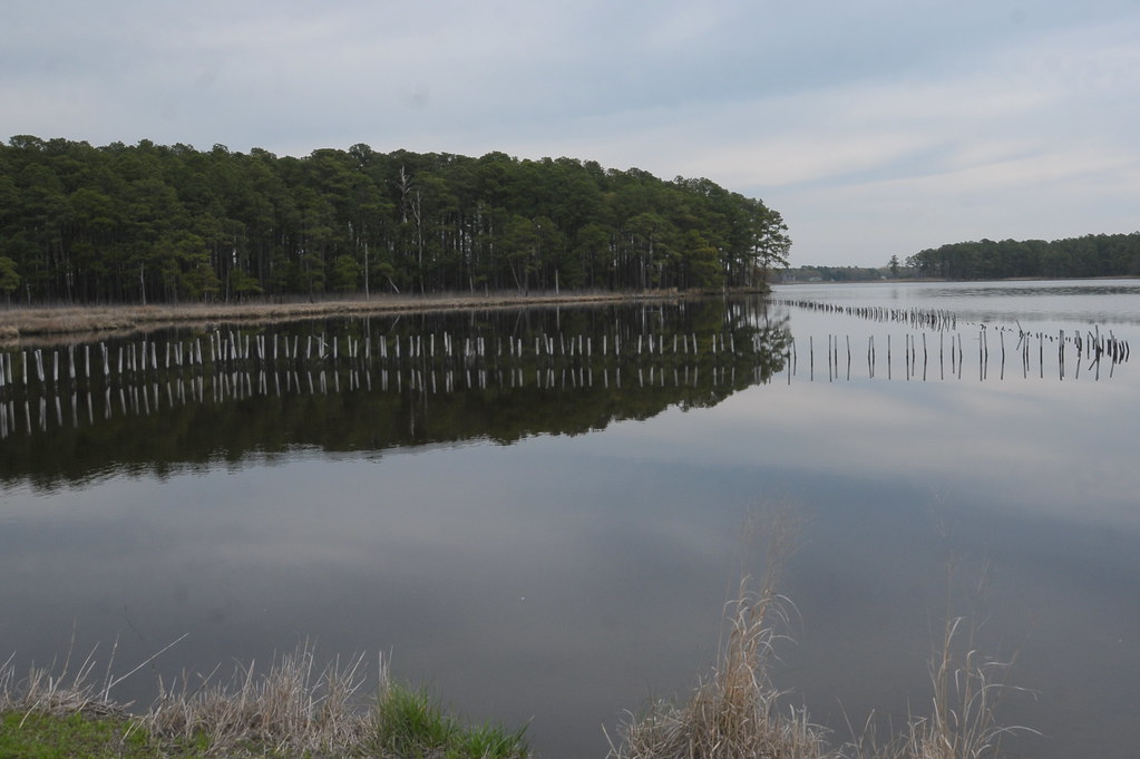 Blackwater NWR Blackwater NWR Brian Ralphs Flickr