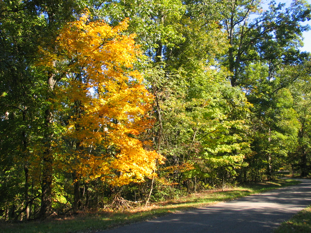 IMG_7309.JPG Early fall color at Bernheim Arboretum and Re… Flickr