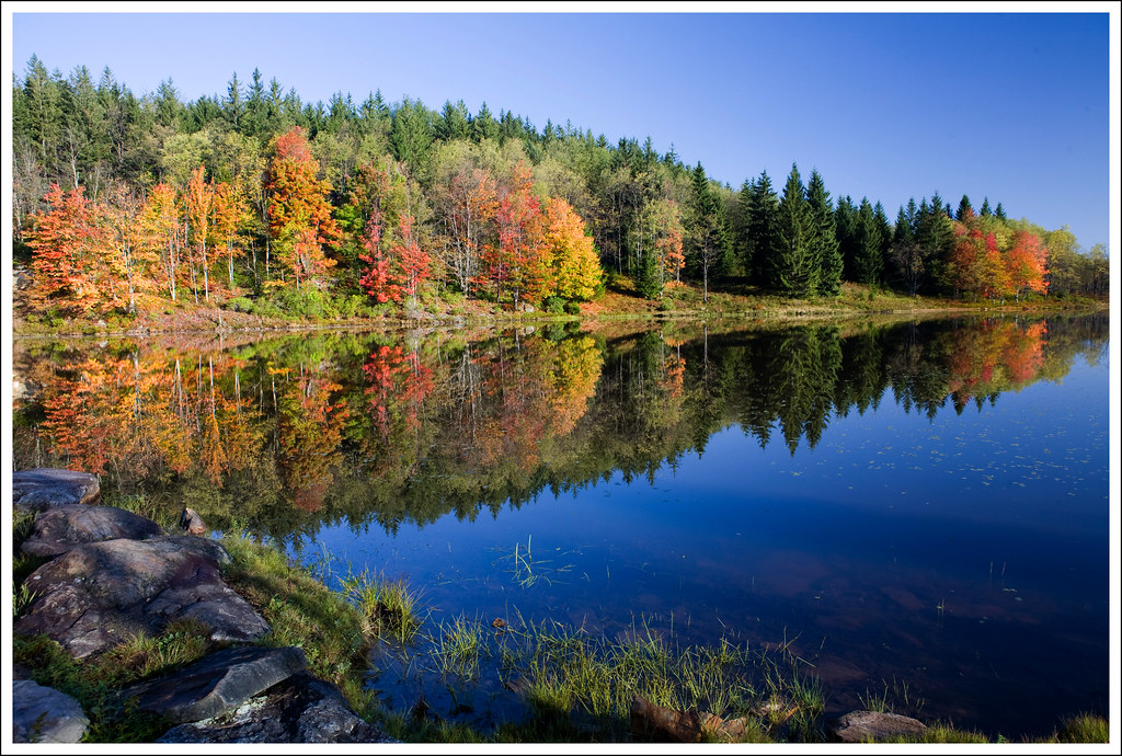 Pendleton Lake Blackwater Falls State Park We're headed … Flickr