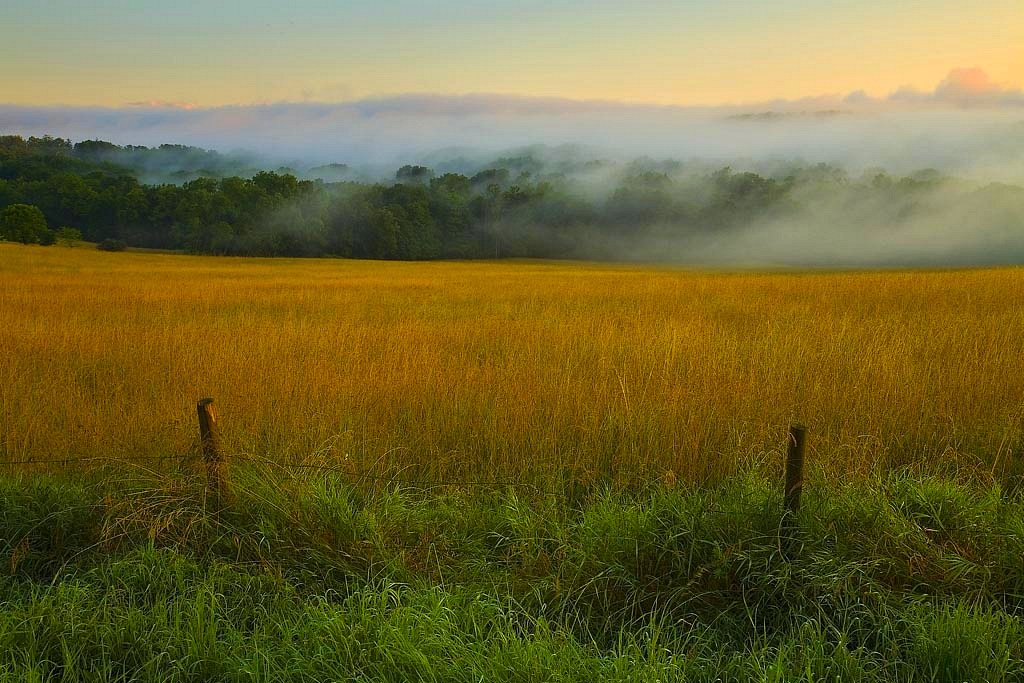 Foggy Meadow, Salisbury Mills, NY, 2009 Taken this morning… Flickr