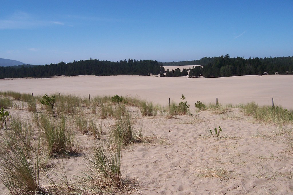 Sand Lake, Oregon A desert near the pacific coast in Orego… Flickr