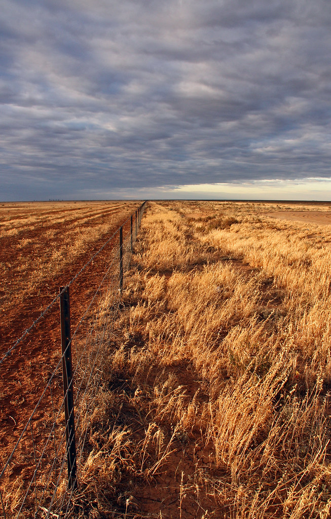 Hope of rain Drought on the Hay Plain EOS 1044 Tim J Keegan