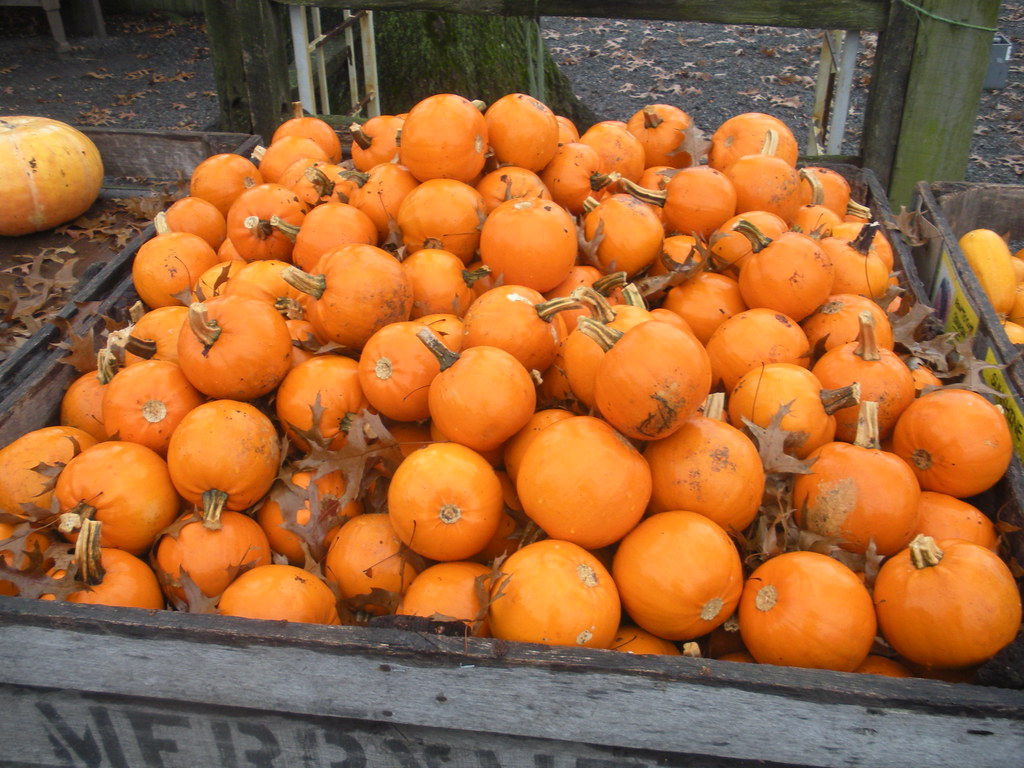 Merrymead Farm 2222 South Valley Road Lansdale, PA … Flickr