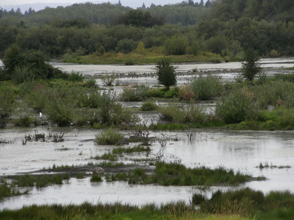 Wetlands at the Hillsboro Landfill The Jackson Bottom Wetl… Flickr