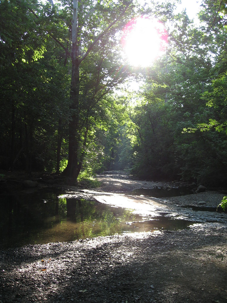 IMG_3169 Adena Brook Ravine Columbus, OH August 2009 Jen Flickr