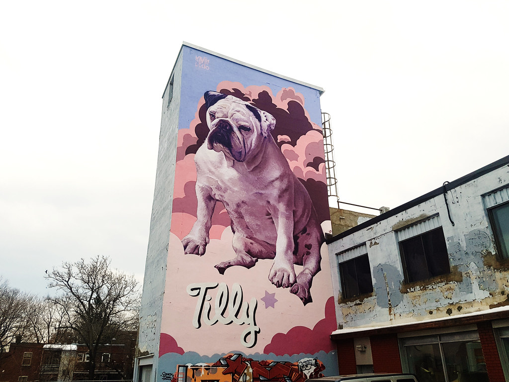 Tilly Dog Mural by Kevin Ledo "Tilly Dog" Mural by Kev… Flickr