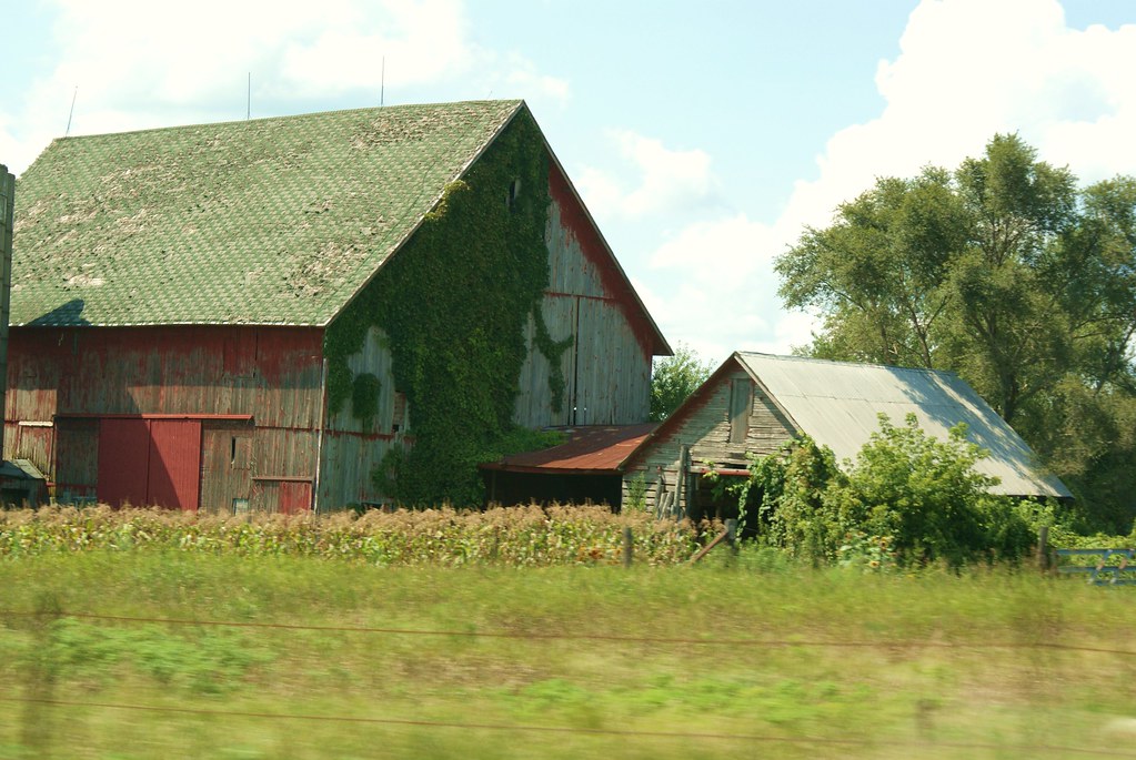 Rustic Rural Barn Vine covered rustic barn near Marengo, I… chumlee10 Flickr