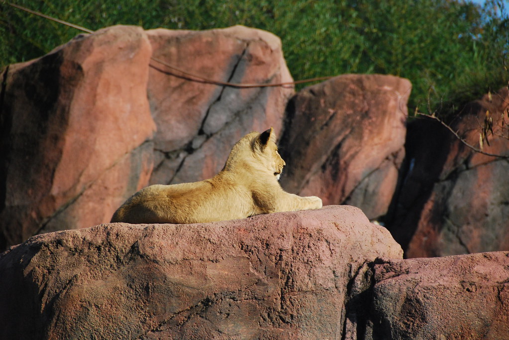 Virginia Zoological Park116 Visit to Virginia Zoological … Flickr