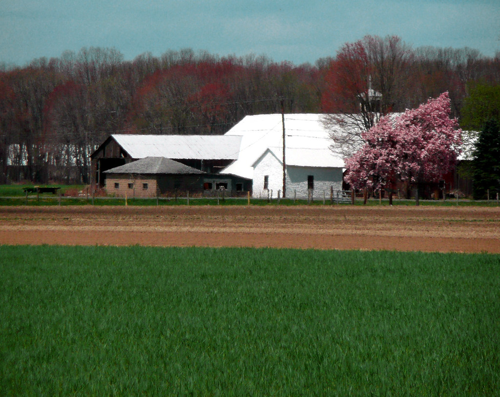 Amherst Farm iv. photo by a. golden, eyewash design Amh… Flickr