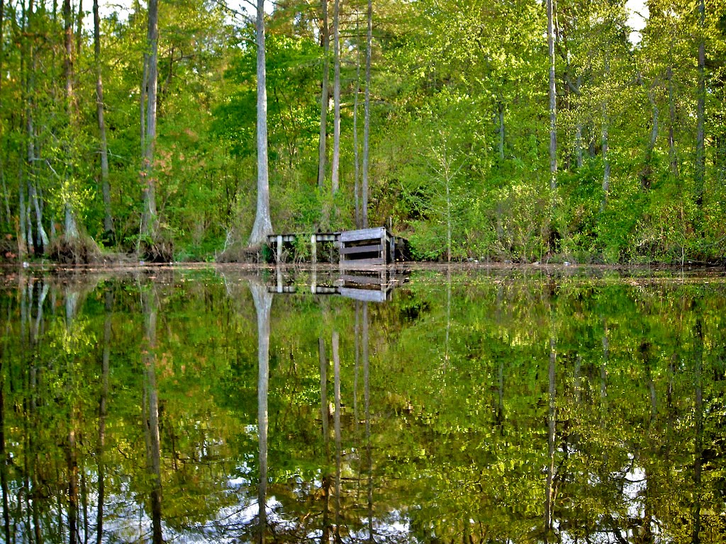Hope Mills Lake escalier2010 Flickr