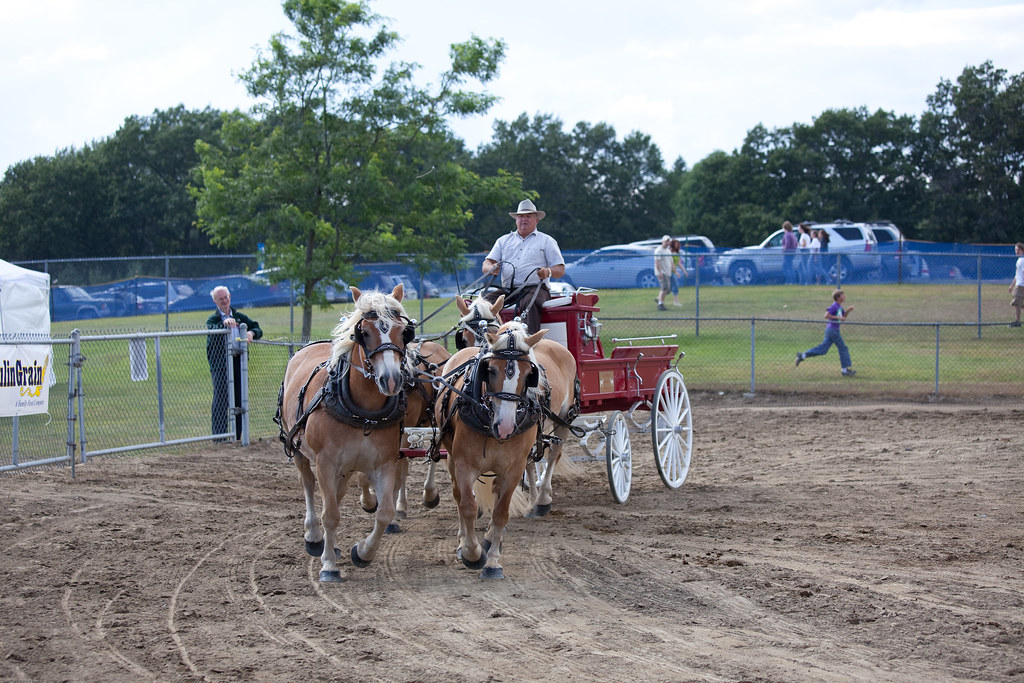 Champlain Valley Fair 2009 Essex Junction, VT August 200… Flickr