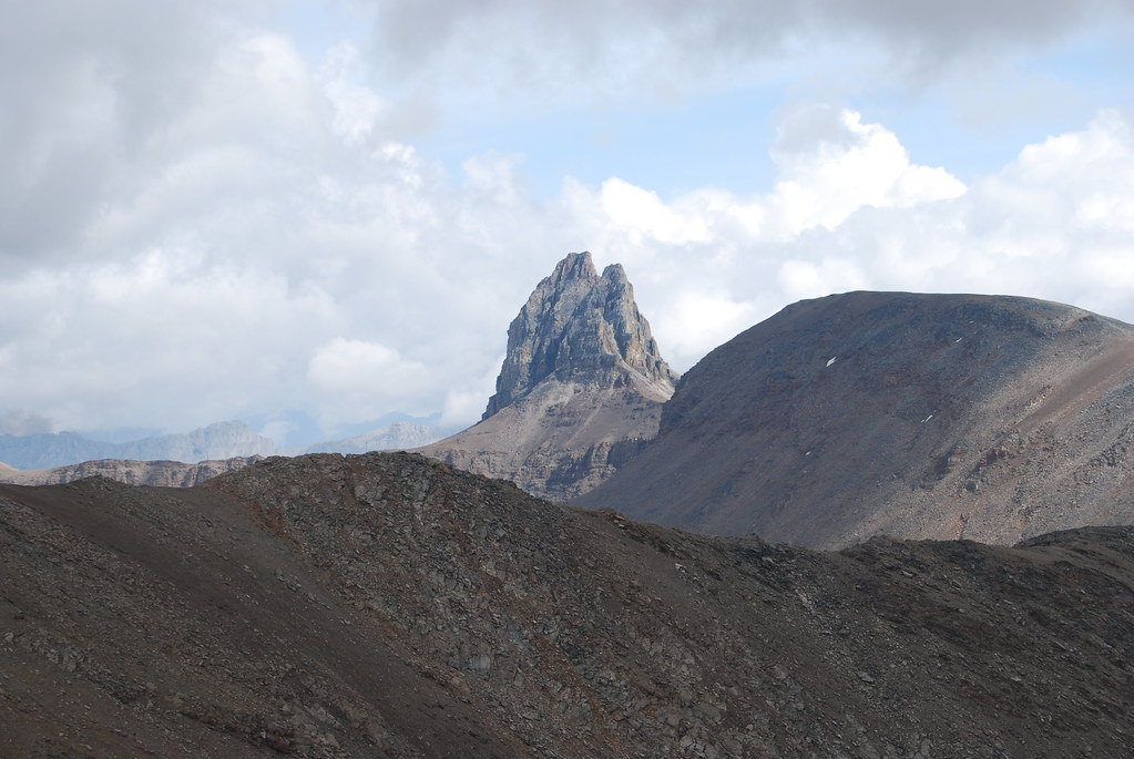 DSC_0207 Michael Lawton Flickr