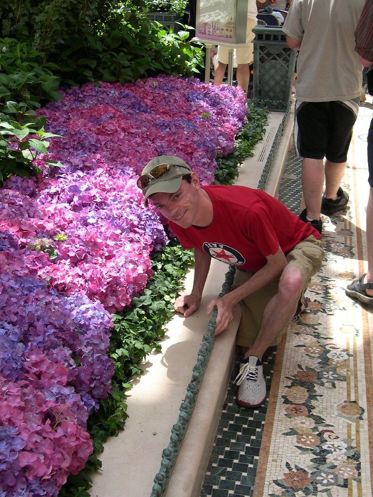 Stopping to smell the fake plants MATV Vegas Flickr