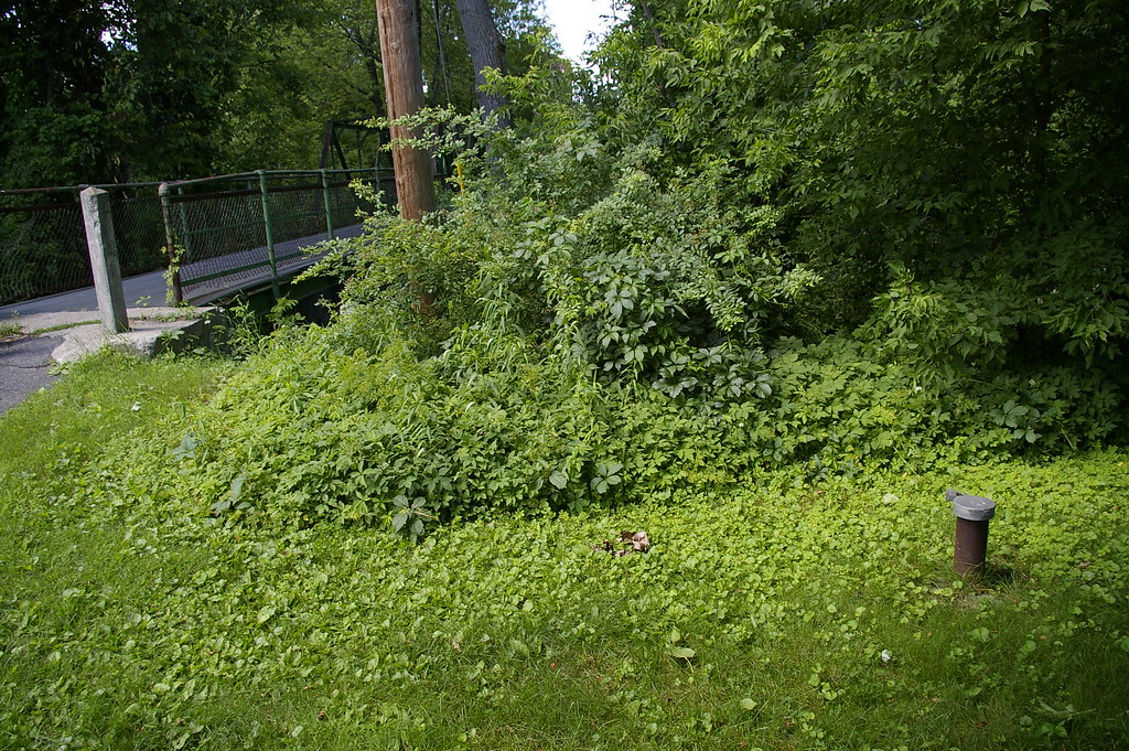 PittsfieldHousatonic River071008 039 Photograph from a … Flickr