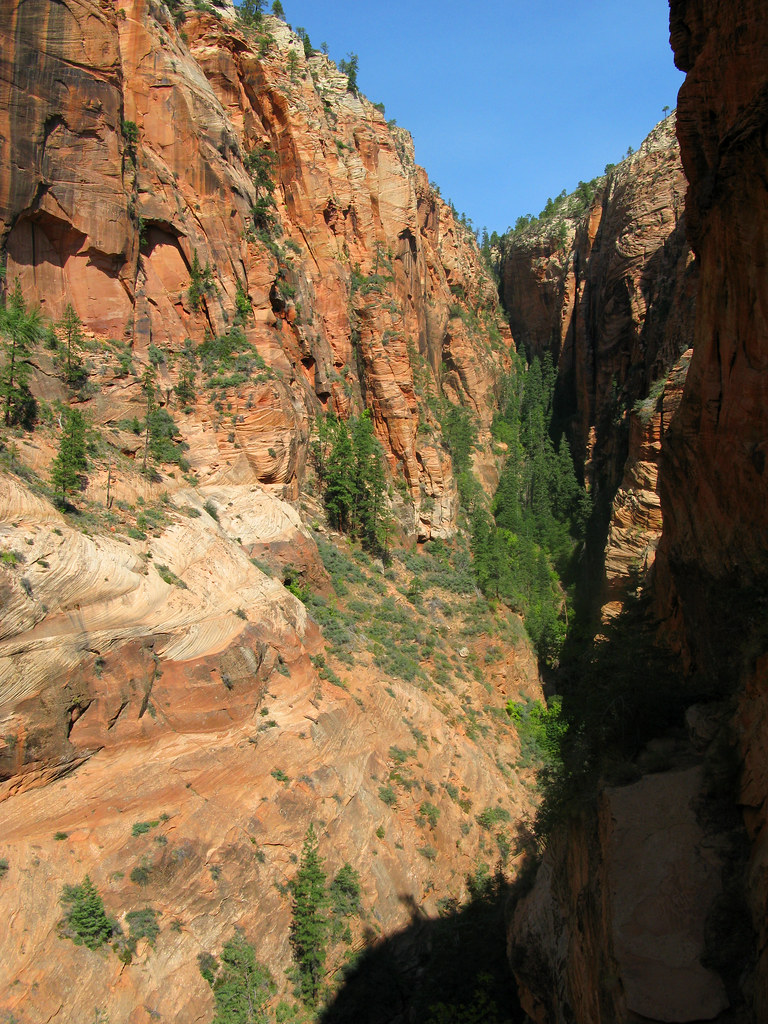 Angels Landing 51 Ronnie Macdonald Flickr
