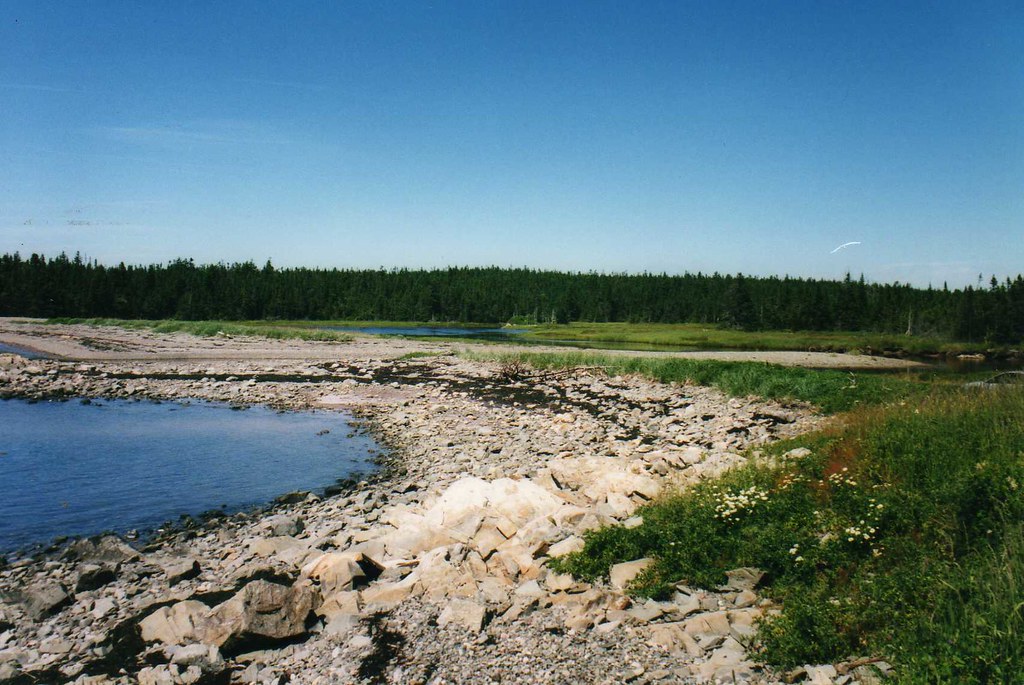 McPhersons Beach Near Maces Bay, New Brunswick Leonora (Ellie