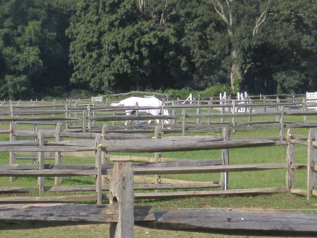 Equestrian Center at Caumsett State Park, Lloyd Neck, NY Flickr