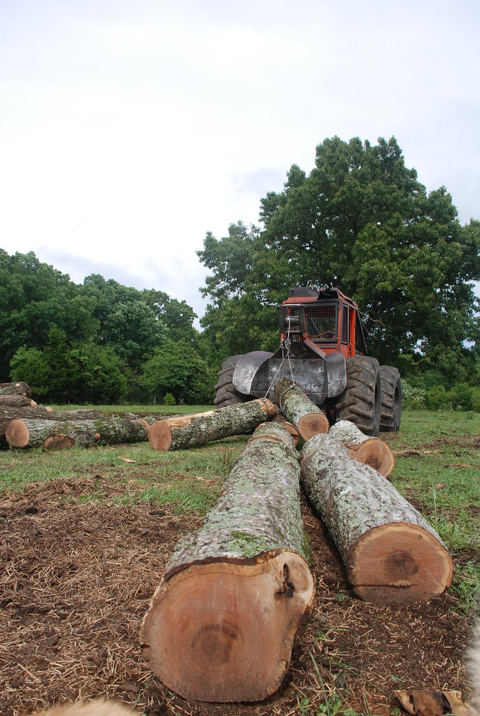WARREN LAND_0014 LOGGING 2 Logs on Warren Land. Opal M. De… Flickr