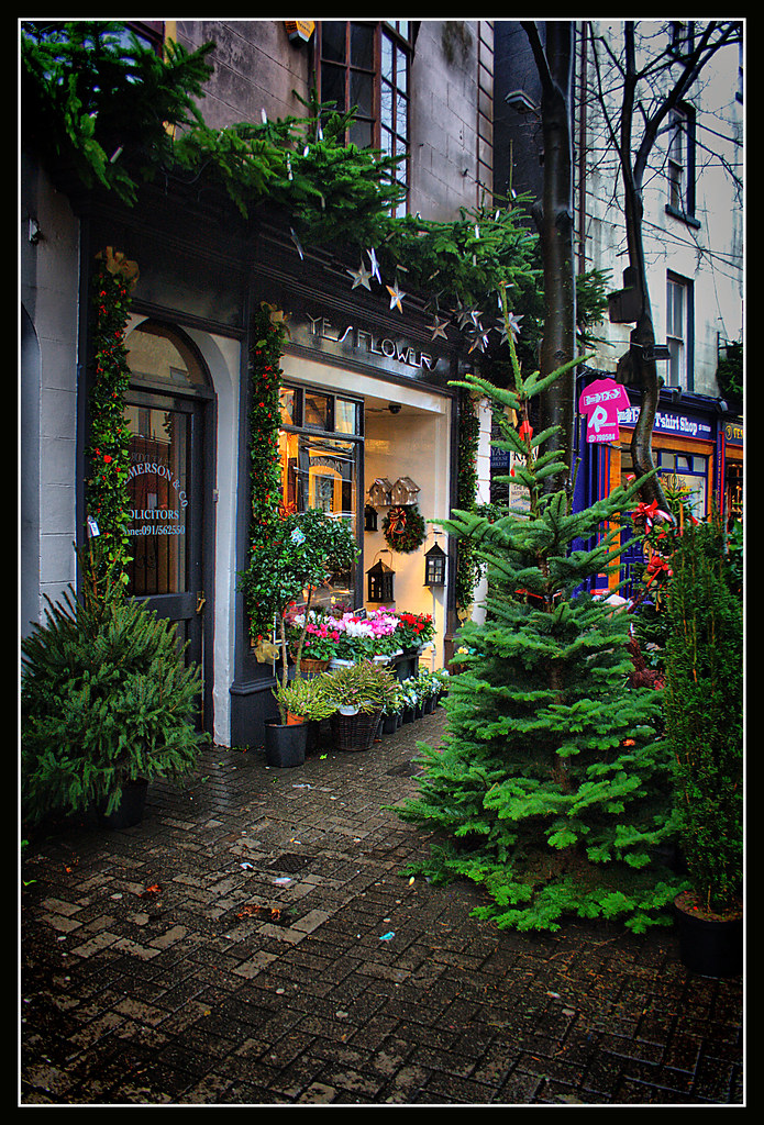 Yes Flowers Yes Flowers flower shop, Galway. Eoin Gardiner Flickr