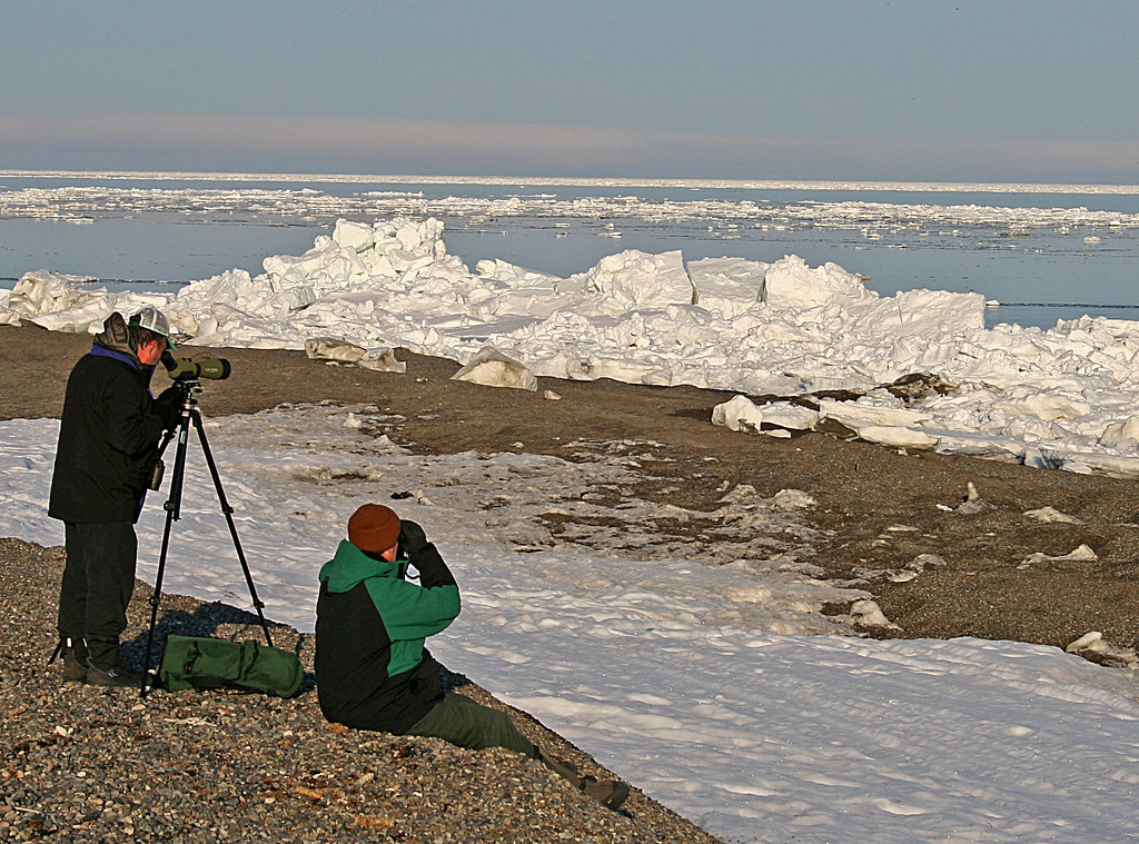 69 Gambell Alaska, Part 9, One of my favorite pictures, W… Flickr