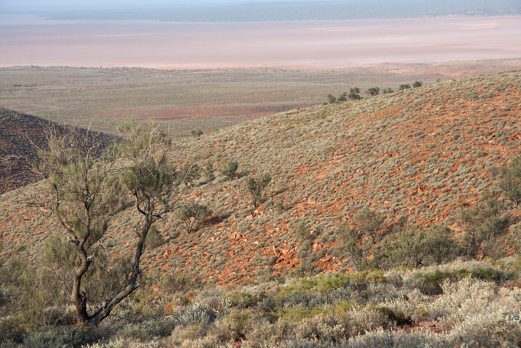 Pimba, Coober Pedy to Cadney(Homestead roadhouse) Pimba, C… Flickr