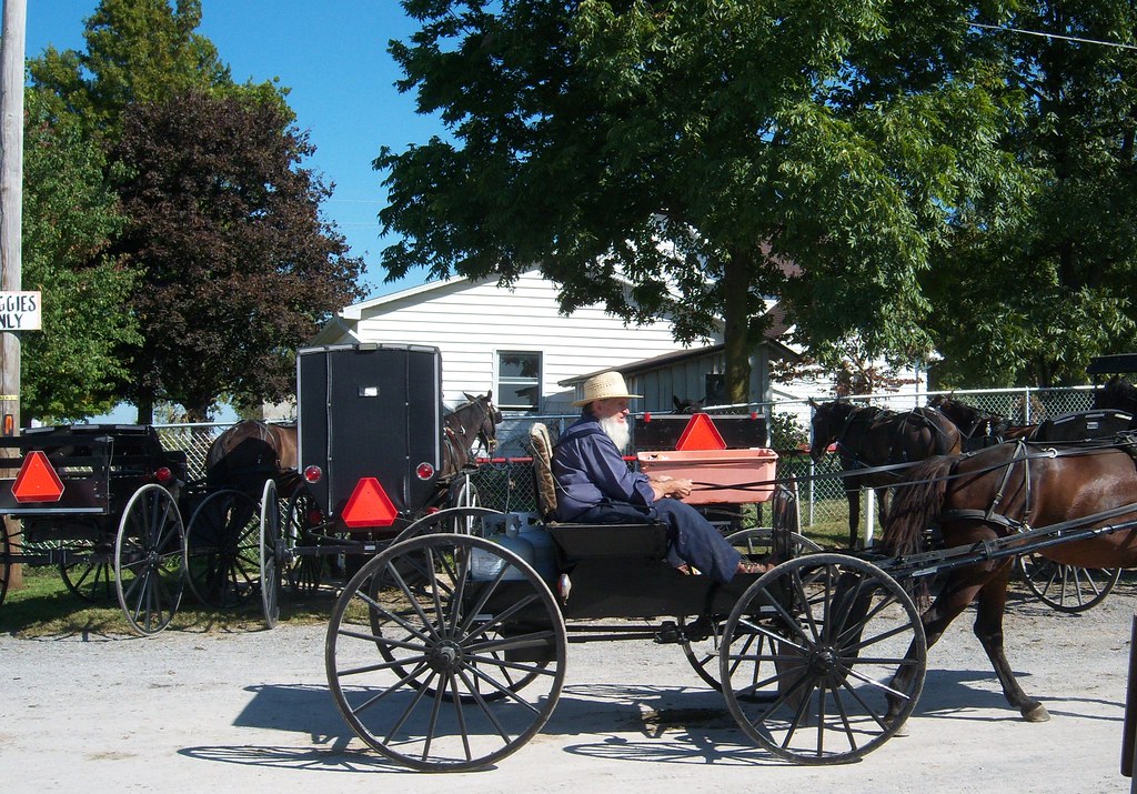 Mt. Hope, Ohio Arriving at the Mt. Hope Auction, lookin… Flickr