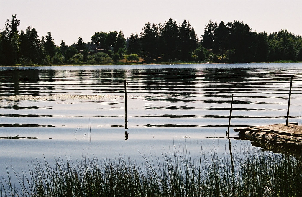 Hicks Lake Lacey,WA Jeff Flickr