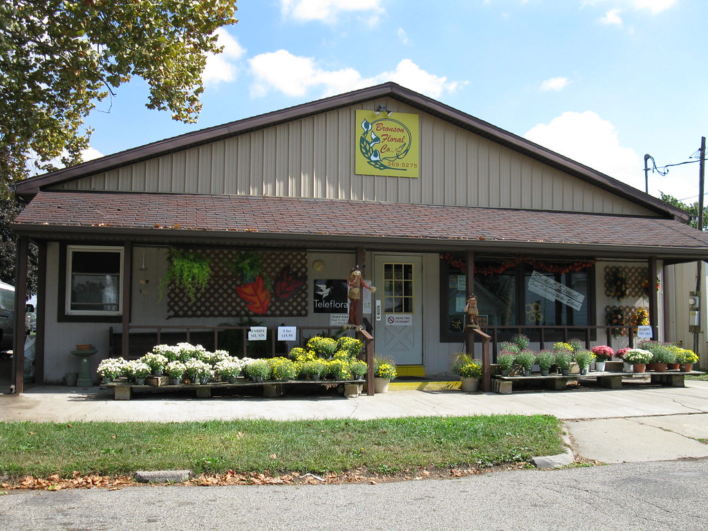 Bronson flower shop Flower Shop Bronson Michigan Branch Co… Flickr