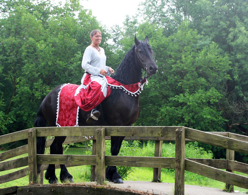 Three Rivers Festival Parade 173 Larissa Allen Flickr