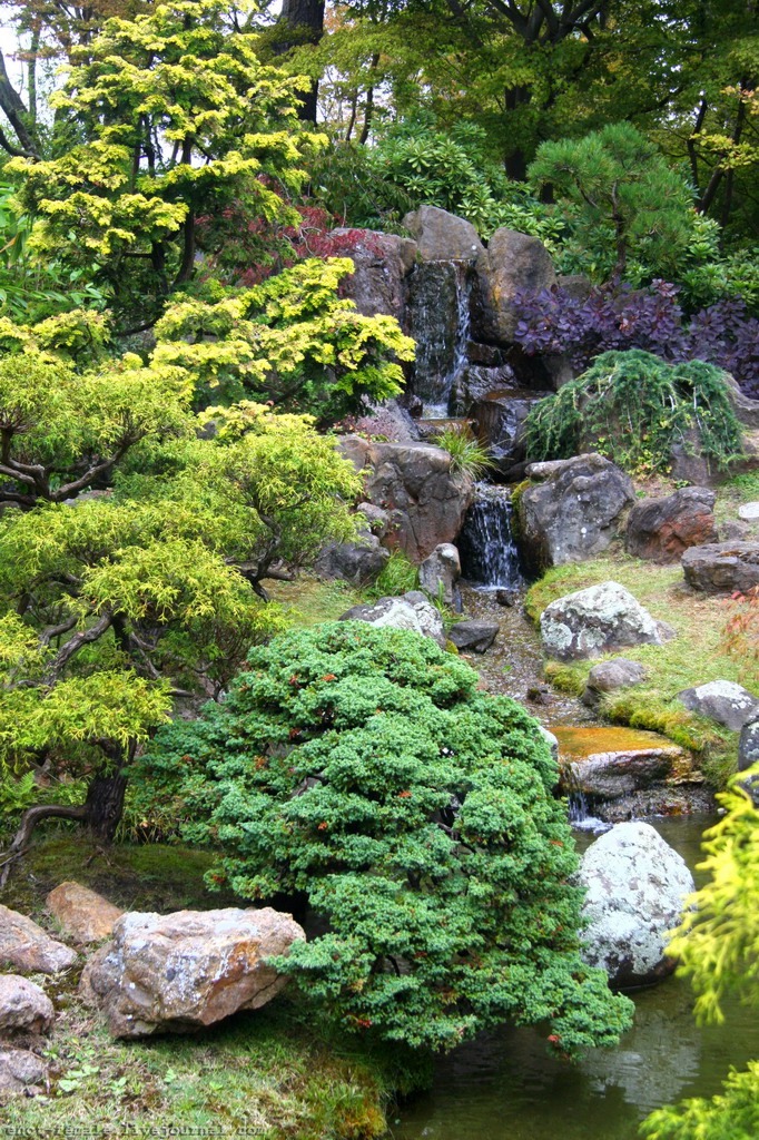 Japanese Tea Garden (San Francisco, California) The Japane… Flickr