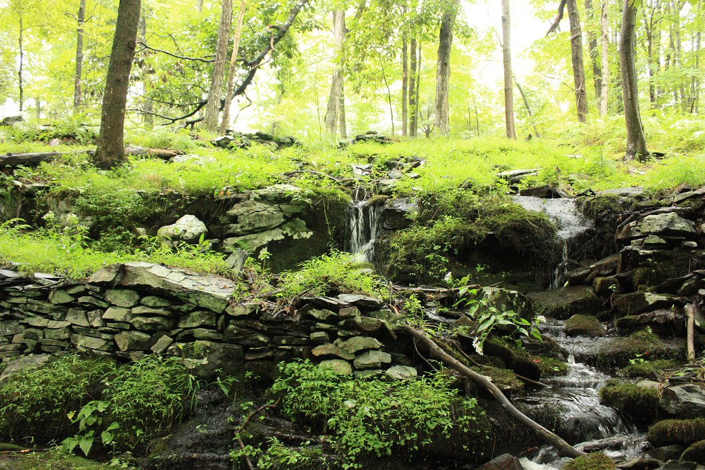 New York YMCA Camp 1,150 acres of pristine wilderness with… Flickr