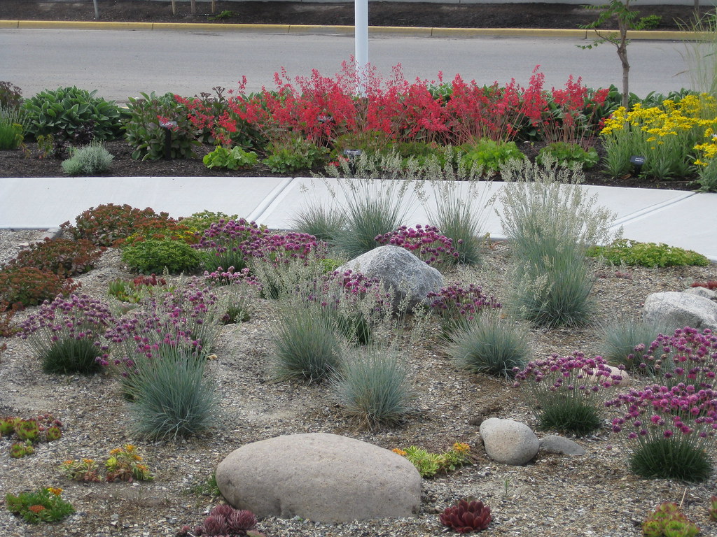 Xeriscaping Xeriscape garden at the H2O centre in Kelowna'… Flickr
