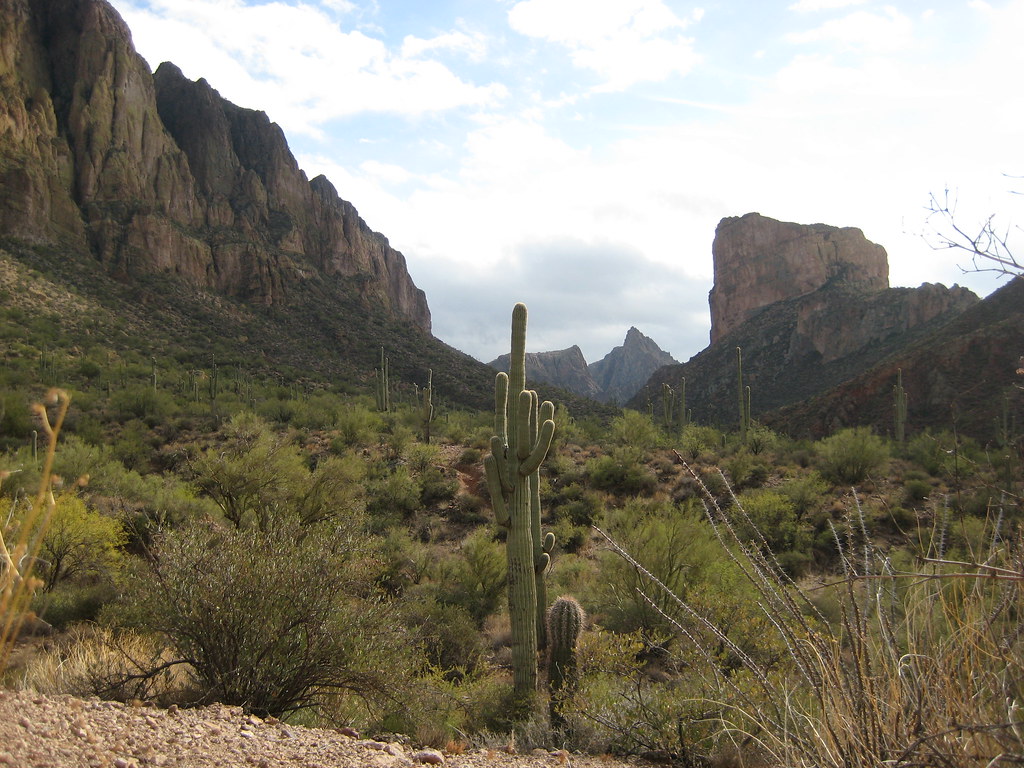 La Barge Creek, Battleship Mtn. La Barge Creek along Trail… Flickr