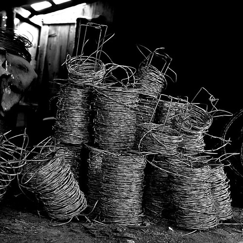 Barbed wire steersrb Flickr