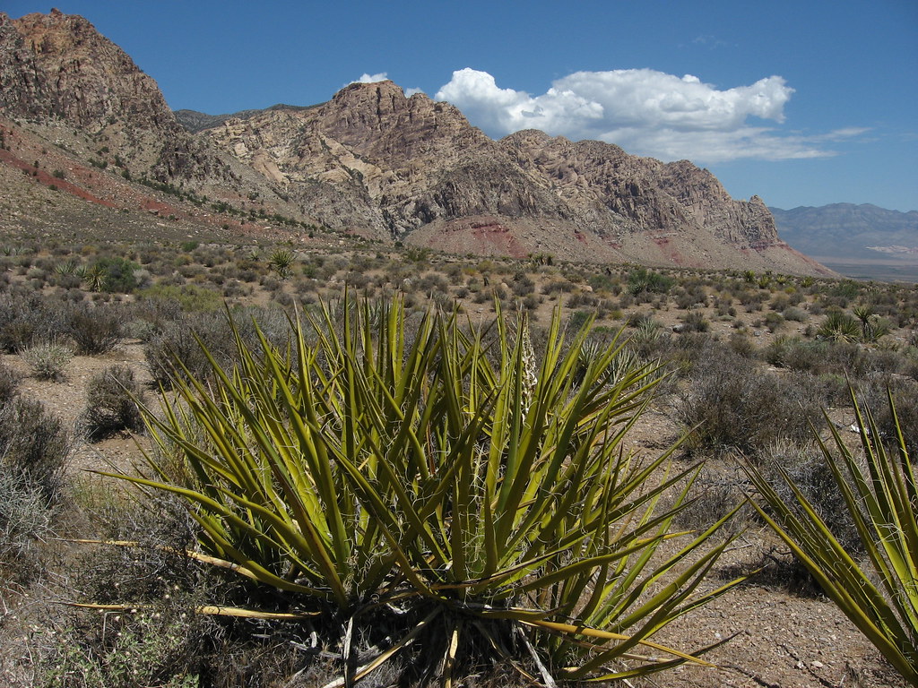 S.R. 160 Between Pahrump and Las Vegas, Nevada (7) a photo on Flickriver