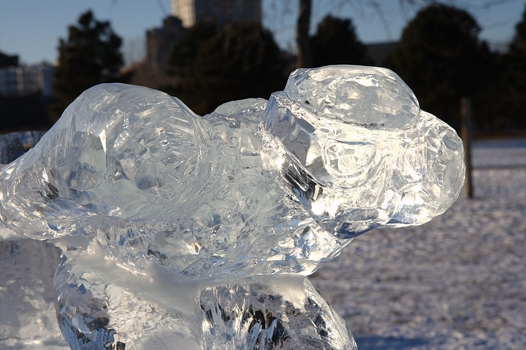 Ice Sculpture Michaela Pereckas Flickr