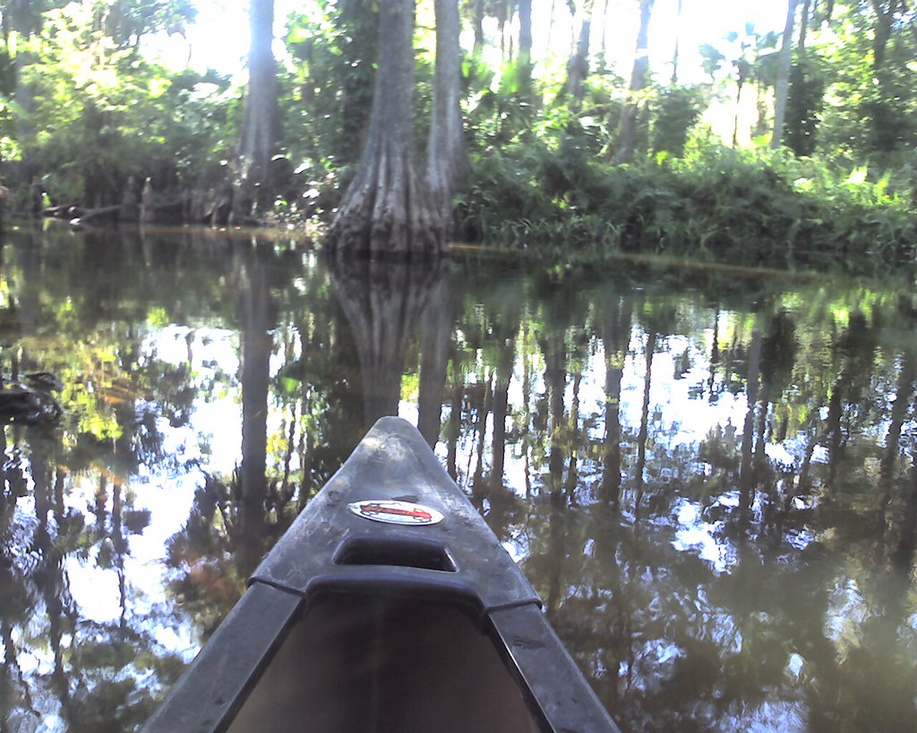 Jupiter, FL Loxahatchee River Canoe swampy goodness seeth… Flickr