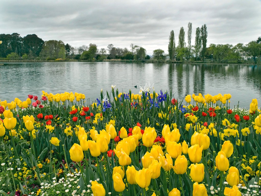 Canberra Floriade 2009 Canberra ACT Australia Olympus E30 Flickr
