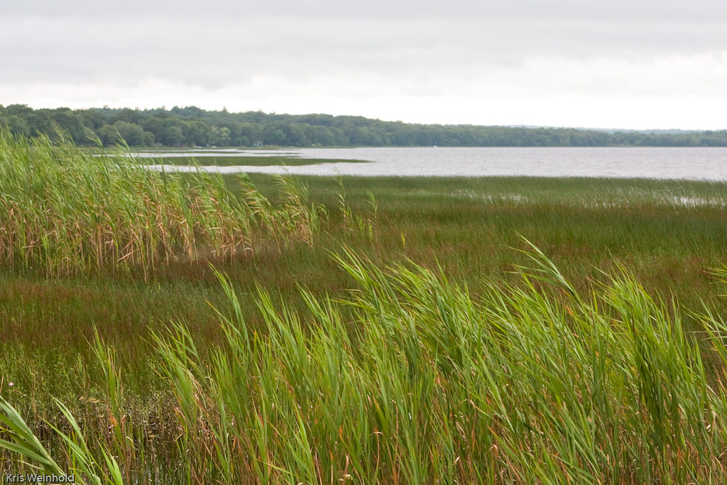 Worden Pond, RI Kris Flickr