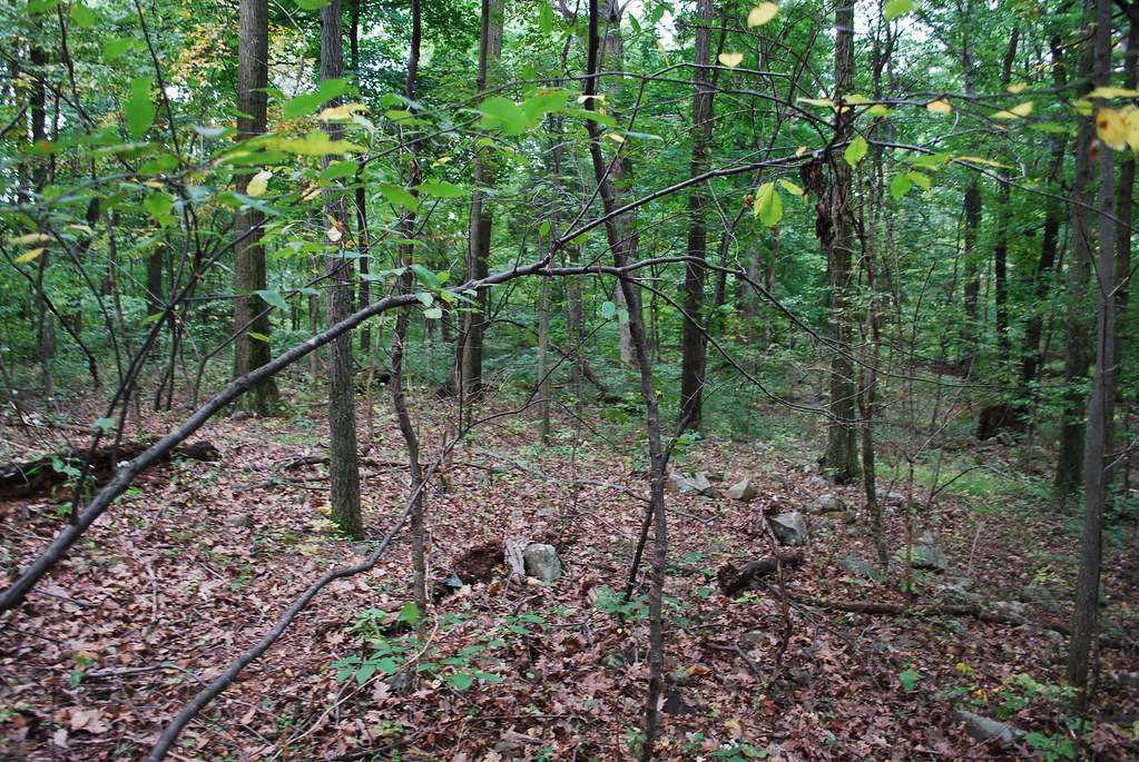 Land of Nicholas Shatto010 Franklin Township, York County,… Flickr