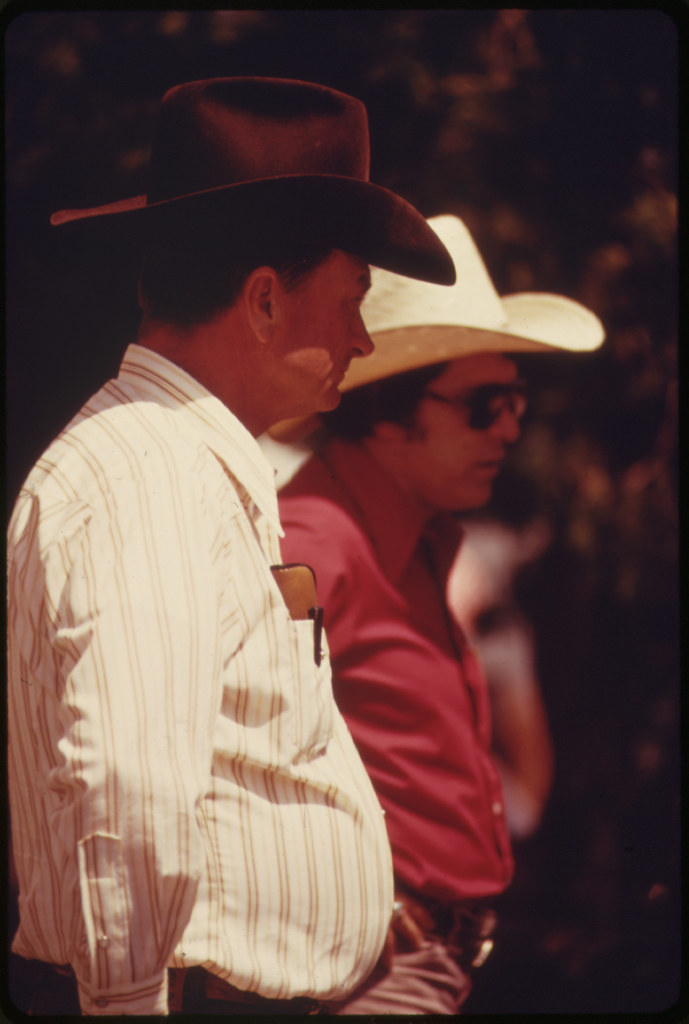 Spectators Await the Parade through Cottonwood Falls Kansas, near