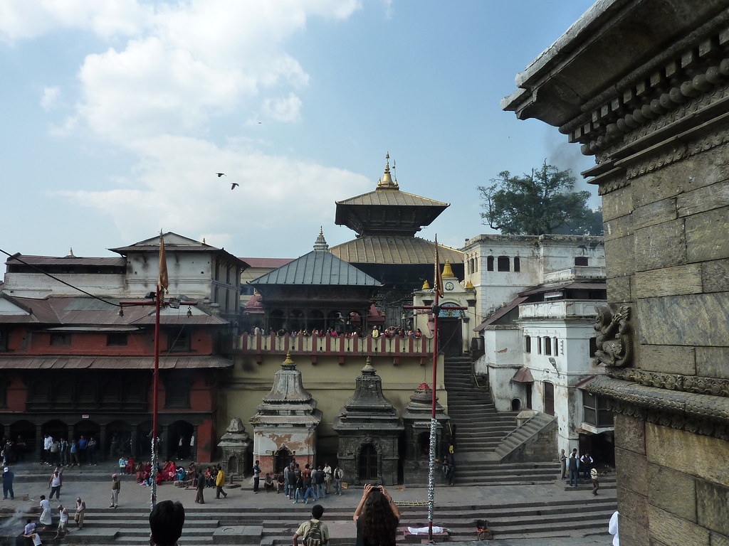 P1000429 piano_dentist Flickr