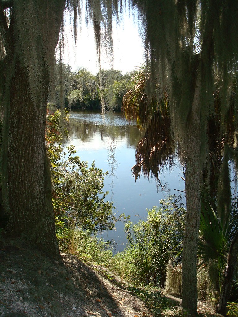 Carter Road Lakeland, FL Sarah Dockray Flickr