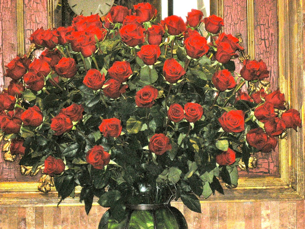 IMG_0289 Judy Lane Flickr