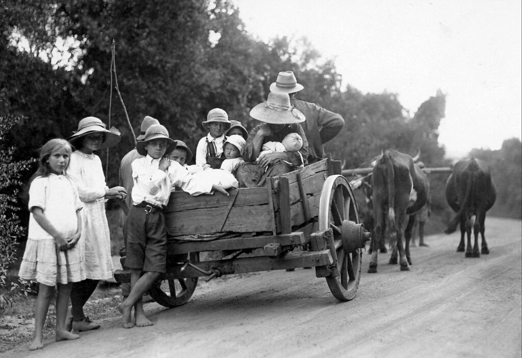 Animal Drawn Vehicles Flickr