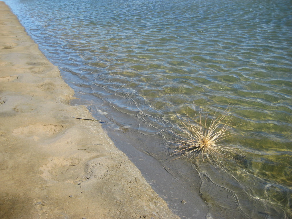 Goolwa Rachael Dunlop Flickr