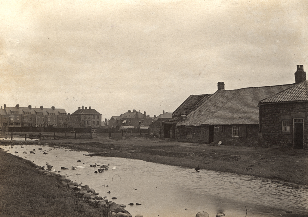 002658Carr Houses at Wallsend, 1899 Type Photograph Med… Flickr