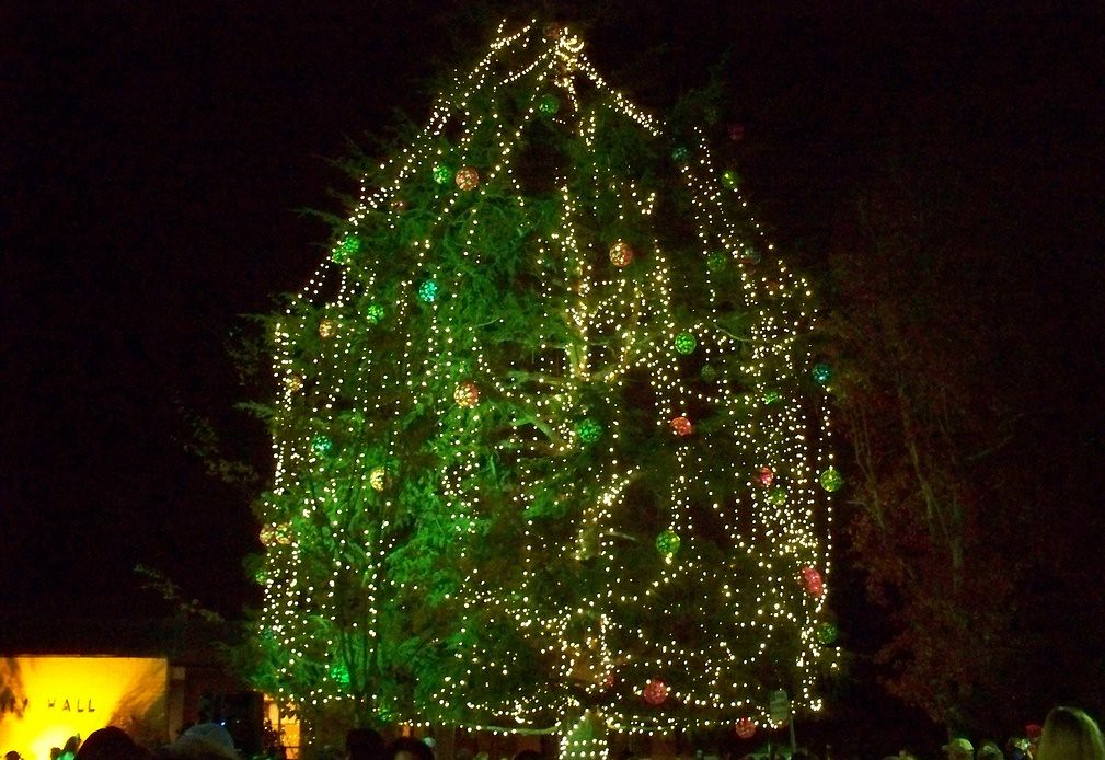 Burlingame Christmas Tree Lighting Burlingame's Christmas … Flickr