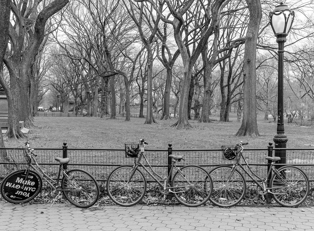 NYC Central Park Charles Flickr
