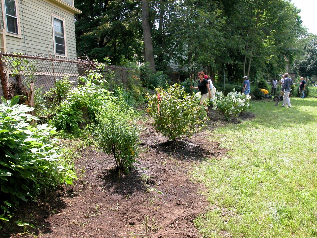 06_AHA_Library_Planting38 Ashmont Hill Association Flickr